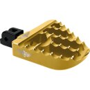 V2 Performance Mini Floorboards Gold Anodized