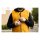 Biltwell 4 Speed vest gold