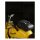 Trip Machine Tank and Tail bag black