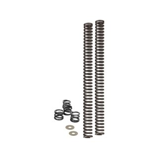 Linear Rate Lowering Fork Spring Kit