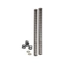 Linear Rate Lowering Fork Spring Kit