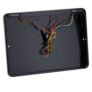 DMP 3-1 License Frame FR Gloss Black