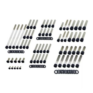 Edelstahl Motor Schrauben Set schwarz für Harley Breakout Fatboy 18-24