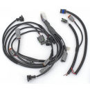 Sprintex new wire loom for blue ECU