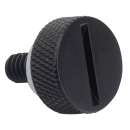 GZP Blk slotted Ezy seat screw 1-4-20