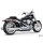 True Duals SLSH CH/CH FLFB-FXBR18-UP