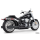 True Duals STAR PTCH BK FLFB-FXBR18-UP
