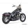 US OUTLAW LOW 2-1 CH/SCLPTD FXD07-17