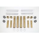 Stößelstangen Pushrod Cover Kit Titan Look für Harley Shovelhead 66-84