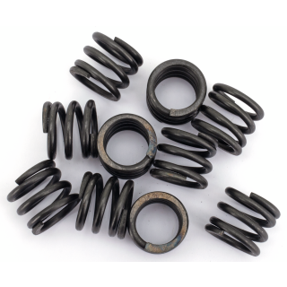 Lower Fork Damper Tube Springs FLST86-17