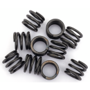 Lower Fork Damper Tube Springs FLST86-17