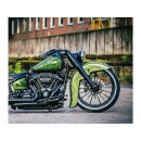 El Dorado Front Fender For 23" Front Wheel