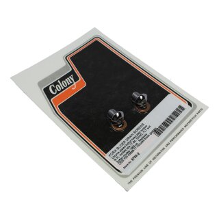 Fork Slider Drain Screws Chrome
