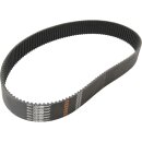 2" Shorty Primary Belts XL Version 8 mm 2" 142...