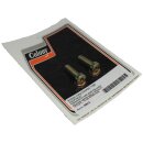 Fork Damper Tube Screw and Washer Kit Chrome