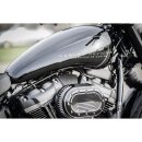EFI Cover