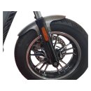Front Fender for Indian Scout with OE Tire Raw