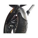 Front Fender for Indian Scout with OE Tire Raw