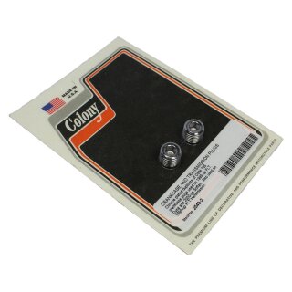 Transmission Pan Drain and Crankcase Plug Chrome