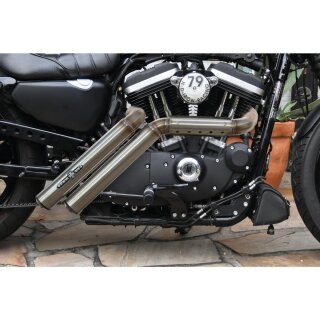 Firestarter Exhaust System , Raw Hole Heat Shield, Black Smooth Endcap, Outline 2,5"