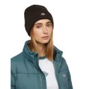 Dickies Gibsland Mütze dunkelbraun
