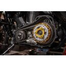 Trask Kupplungs Feder Power Plate Kit gold eloxiert für Harley M8 17-25