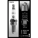 Each Brisk AR10C Spark Plug