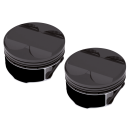 Wiseco Piston Kit 121CI 11:1 4.125"