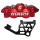 Rad. Caliper Red Ano RR Kit FLH/T17-Up