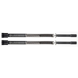 LS AXEO Stock 49mm Tri14-16