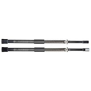 LS AXEO Stock 49mm FXDWG10-17