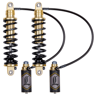 LS REVO-ARC RR 13" Gold FLH/T14-Up