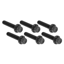 12PT Tranny Cover Bolts Black BT06-24