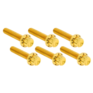 12PT Tranny Cover Bolts Gold BT06-24