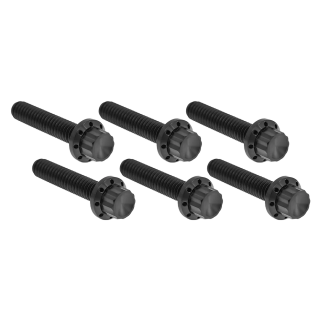 12PT Trap Door Bolts Black FLH/T17-Up