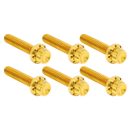 12PT Tranny Cover Bolts Gold ME24-Up