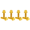 12PT Lifter Block Bolts Gold BT99-Up