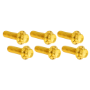 12PT Top Trans. Bolts Gold BT07-Up