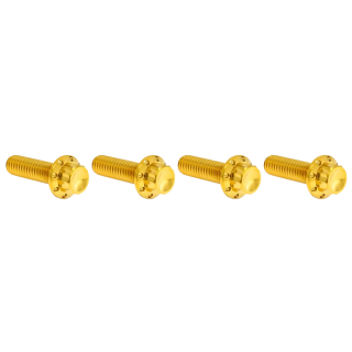 12PT Hand Controls Bolts Gold HD99-Up
