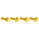 12PT Hand Controls Bolts Gold HD99-Up