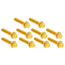12PT Cam/Point Cover Bolts Gold TC99-17