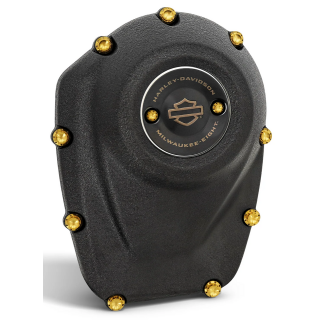 12PT Cam/Point Cover Bolts Gold ME17-24