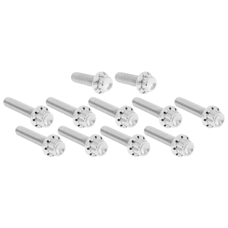 12PT Cam/Point Cover Bolts Pol. ME24-Up