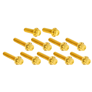 12PT Cam/Point Cover Bolts Gold ME24-Up