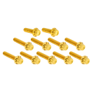 12PT Cam/Point Cover Bolts Gold ME24-Up