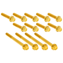 12PT Primary Cover Bolts Gold TC99-17