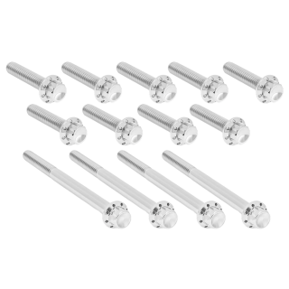 12PT Primary Cover Bolts Pol. FLH/T17-Up