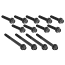 12PT Primary Cover Bolts Black FLH/T17-U