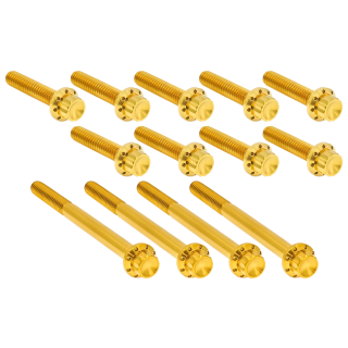 12PT Primary Cover Bolts Gold FLH/T17-Up