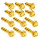 12PT Rocker Box Bolts Gold TC99-17